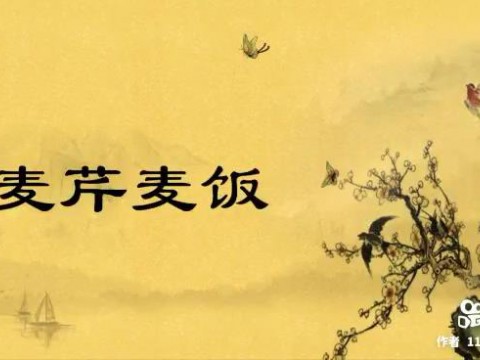 老师教您学做菜-麦芹麦饭