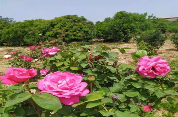 院长来信啦！青春由磨砺而出彩，人生因奋斗而升华 | @所有陕旅烹院青年师生员工