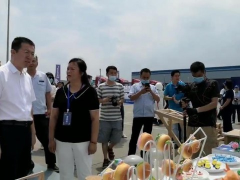 世界青年技能启动日 省人社厅景厅长参观beat365官网展台