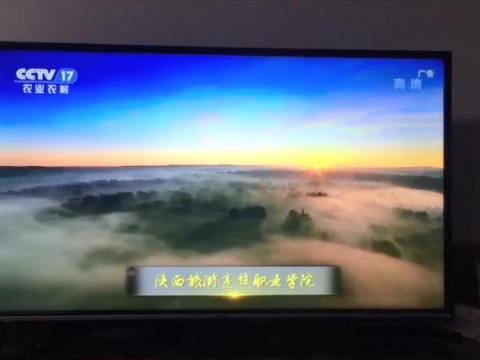 《beat365平台官方网站》专题片入选CCTⅤ双创品牌计划