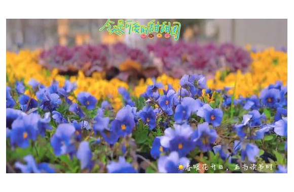 植树节丨beat365官网院长王新丽发布倡议！