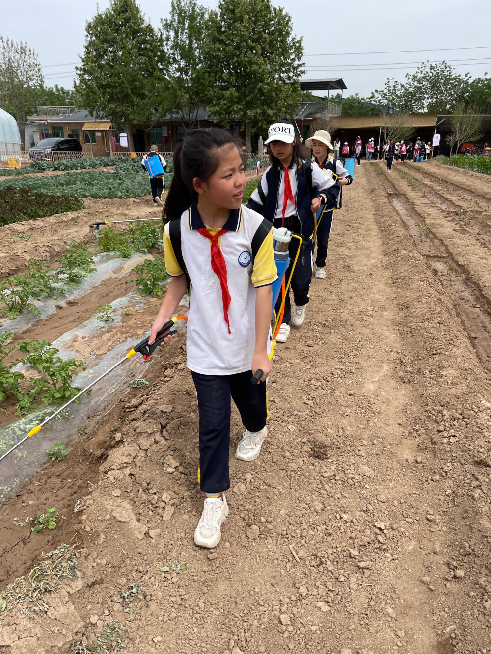 微信图片_20240428185948