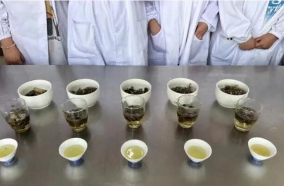 如法炮制技艺强，古法今制传承忙 beat365平台官方网站《中医食疗药膳学》期末采取了“以赛代考”的检测模式