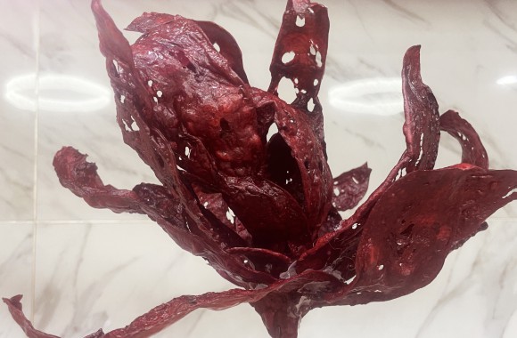 蔺老师翻糖威化纸作品