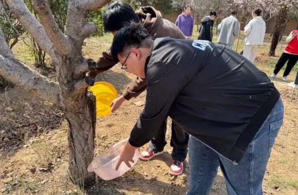 “植”此青绿 不负春光 | 校学生会邀你为学校添新绿